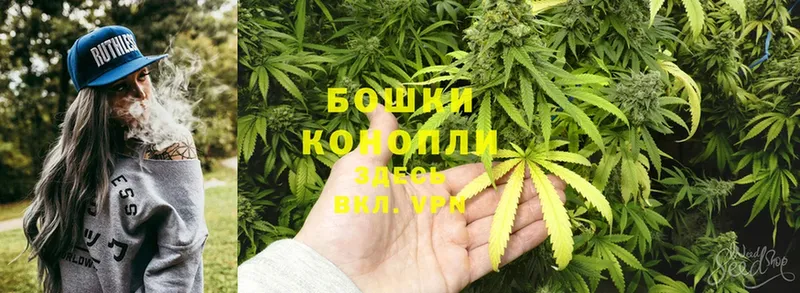 Бошки марихуана White Widow  площадка какой сайт  Поворино  где купить  